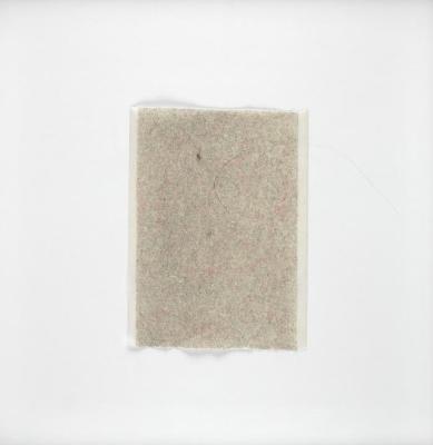 Lint Pick Up - Karin