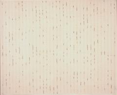 Stephen Sollins